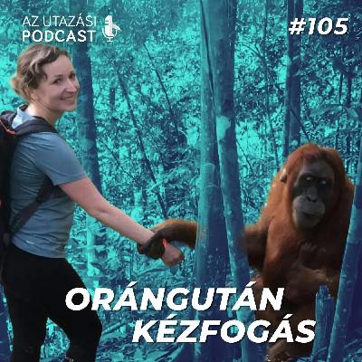 #105 Hallgatói történet - Orángután kézfogás