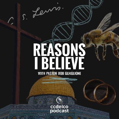 S2E11: Reasons I Believe #11 — Christmas