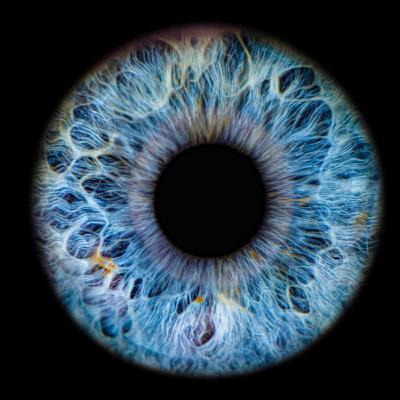 Е54: Светлина в тъмното: Как един български ученик създаде софтуер в полза на незрящите Е54: Светлина в тъмното: Как един български ученик създаде софтуер в полза на незрящите