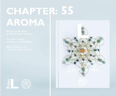 新年新气象,让我们的钱包鼓鼓 新年新气象,让我们的钱包鼓鼓