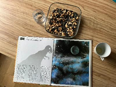 Il cuore di mamma dinosauro