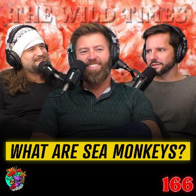 What Actually Are Sea Monkeys? - TWT 166