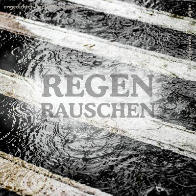 #324 Joachim Ringelnatz - Landregen