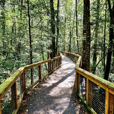 Music 101 just for fun Music 101 just for fun