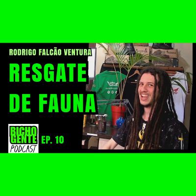 Resgate de ANIMAIS SILVESTRES com Biólogo Rodrigo F. Ventura | BICHO GENTE Podcast ep. 10