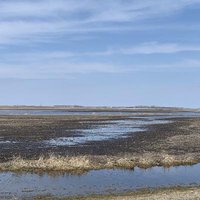 Mid-morning Ag News, November 5, 2025: Traces of Old Farm Chemicals Contaminate Water Across the US Mid-morning Ag News, November 5, 2025: Traces of Old Farm Chemicals Contaminate Water Across the US