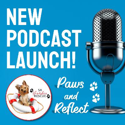 Paws & Reflect - Podcast Launch
