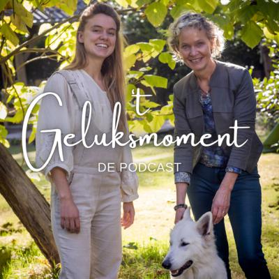 #32 - Focus, flow, concentratie en prikkels
