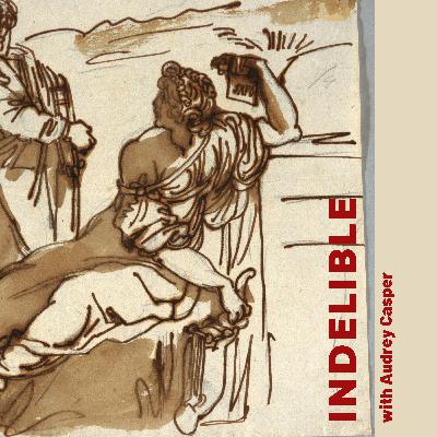 The Overstory The Overstory