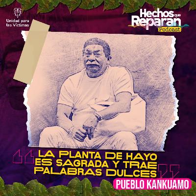 “La planta de Hayo, es sagrada y trae palabras dulces”