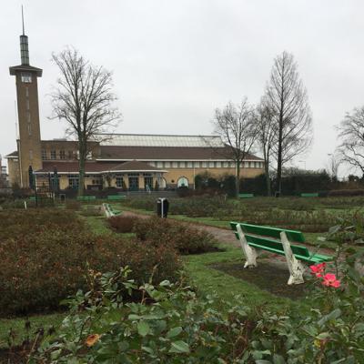 2.5 🌹 Floriografie: bloemsymboliek