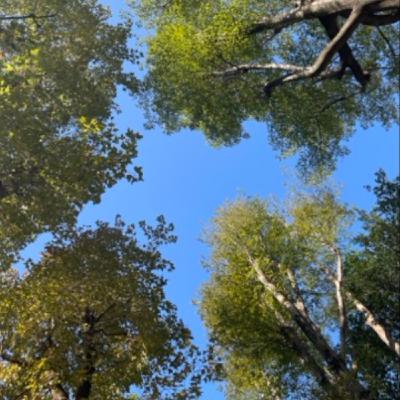 EP210 王老先生有塊地該怎麼種樹?韓國森林療癒(上) EP210 王老先生有塊地該怎麼種樹?韓國森林療癒(上)