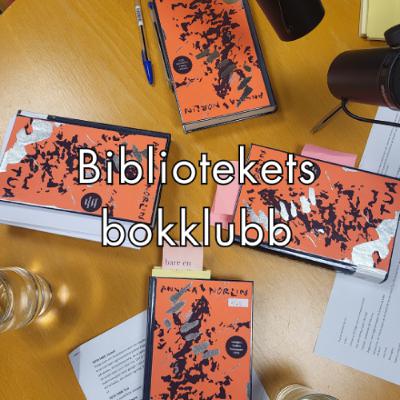 #129 - Bibliotekets bokklubb: Tua av Annika Norlin