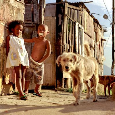Qual a origem da palavra favela?