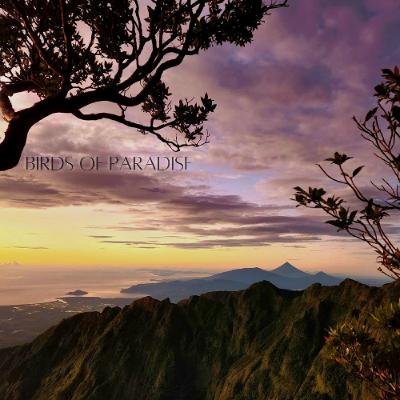 BIRDS OF PARADISE REMIX