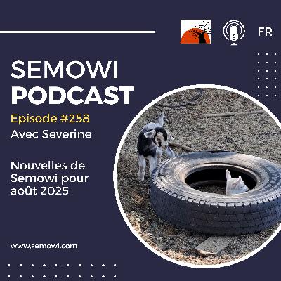 Nouvelles d' août 2025