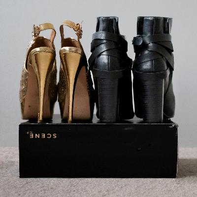 121. Deborah Willis: the Closet as Archive