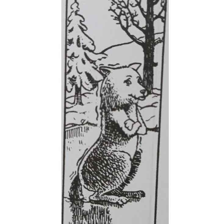 ماهیگیری با دم