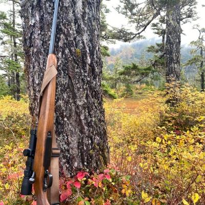 Bolt Actions the Definitive Guide - Tac Reload