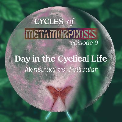 Day in the Cyclical Life: Menstrual vs Follicular Day in the Cyclical Life: Menstrual vs Follicular