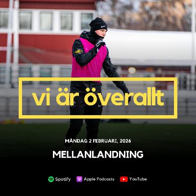 Mellanlandning Mellanlandning