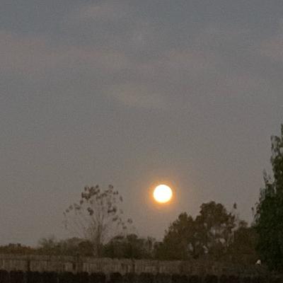 Full Moon Message Full Moon Message