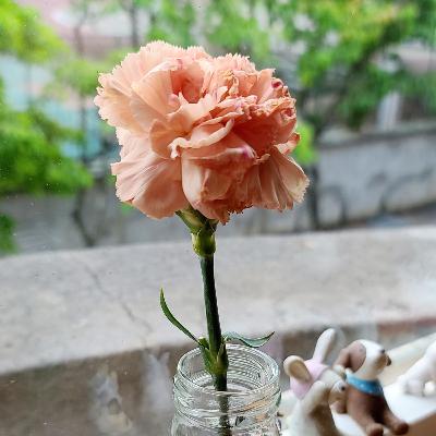 EP.21 音樂劇介紹及歌曲欣賞 EP.21 音樂劇介紹及歌曲欣賞