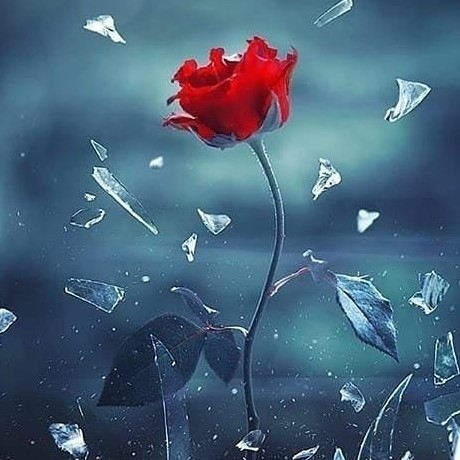 ۲۰۲۰_۰۴_۲۲_۱۹_۱۹_۰۴