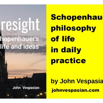 Schopenhauer’s philosophy of life in daily practice