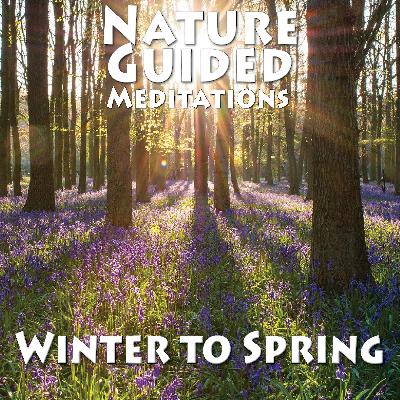 Winter to Spring