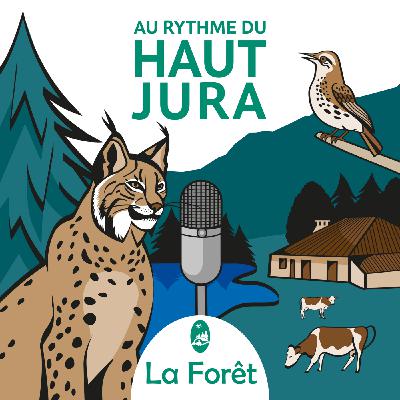 Chouette, des oiseaux de nuit ! Chouette, des oiseaux de nuit !