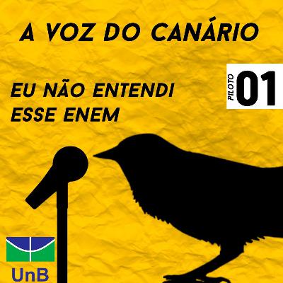 Eu não entendi esse ENEM - Quem somos nós