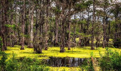 Summersode 8: A Tragic Murder in Mississippi