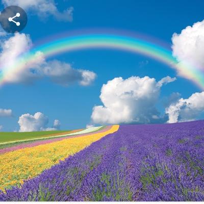 סיפור קיץ- הדרך אל הכוכבים/ מעשייה אנגלית, גילאי 4+ סיפור קיץ- הדרך אל הכוכבים/ מעשייה אנגלית, גילאי 4+