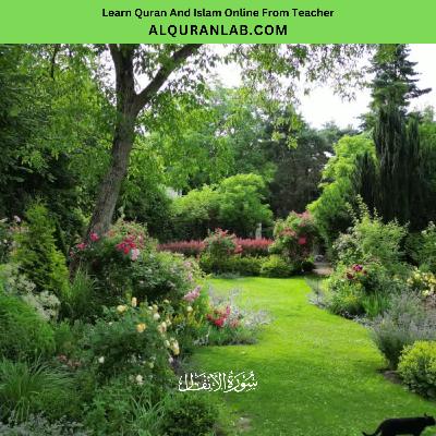 Surah Al-Anfal Amazing and beautiful Recitation of the Quran with Tajweed