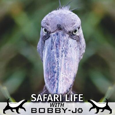 Ep22: The Top Three Highlights from Uganda