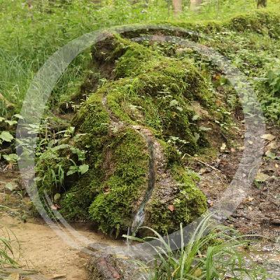 LRT11 KTQs die wachsenden Felsen LRT11 KTQs die wachsenden Felsen