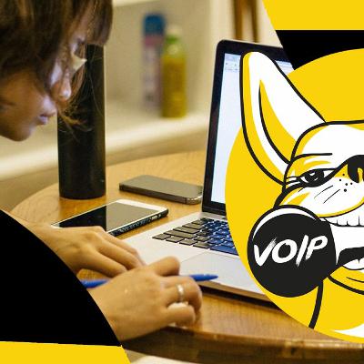 F&Q's - The Best Work From Home Job EP.4