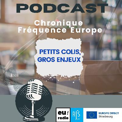 Petits colis, gros enjeux : l'UE face à l'invasion du e-commerce chinois