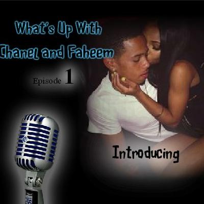 Episode 1: Introducing