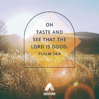 God Provides and Rescues