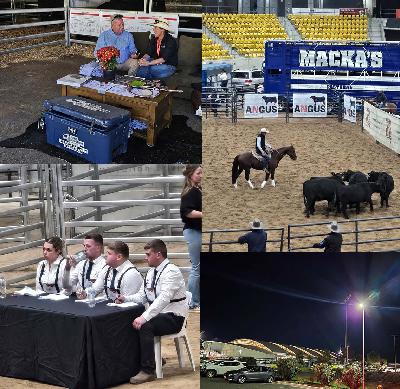 199 - Special episode - Live from World Angus Expo