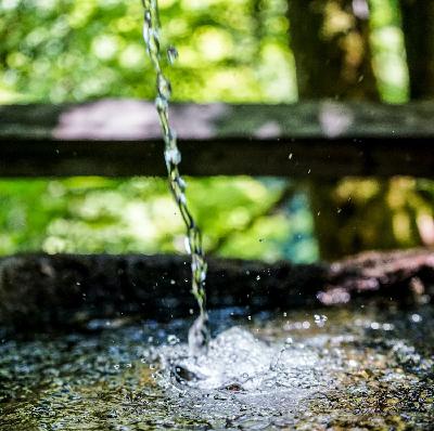 Episode 134: How God Uses Women: A Servant Girl and the Woman of Bahurim