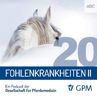 Fohlenerkrankungen Teil 2