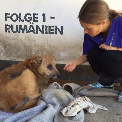 Folge 1 - Rumänien