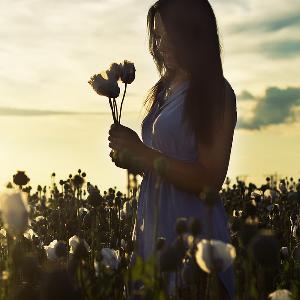 Wandering Into the Weeds With Skill and Forethought Wandering Into the Weeds With Skill and Forethought