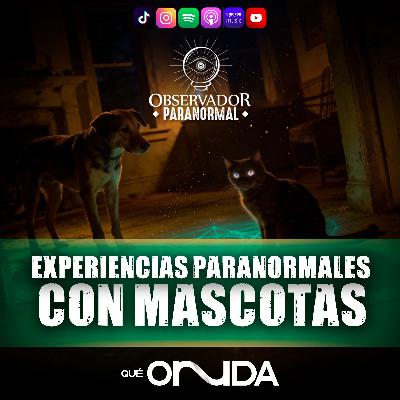 Experiencias Paranormales con Mascotas