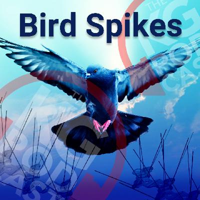 Episode 33: Bird Spikes