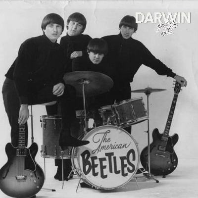 Die falschen Beatles | Steady-Schätze
