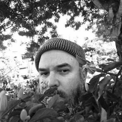 WOTP #120 - The Reds, Pinks & Purples WOTP #120 - The Reds, Pinks & Purples